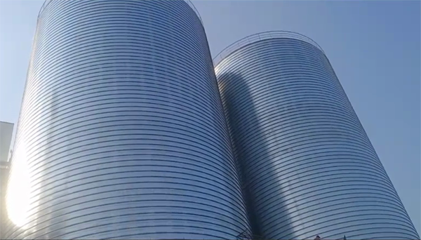 龙山2座混凝土高架卷板仓